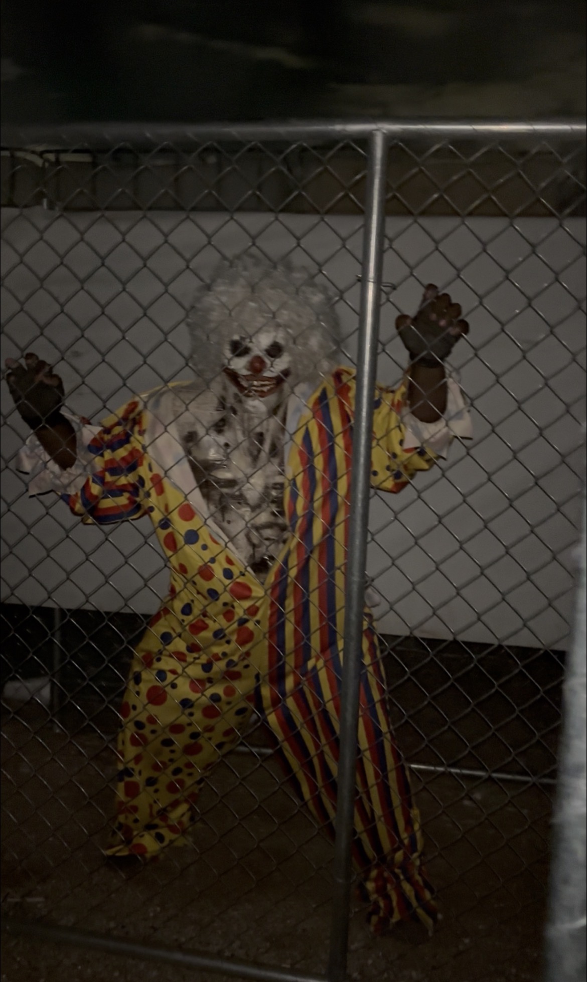 Clown in a striped costume clawing at a chain-link fence at night
